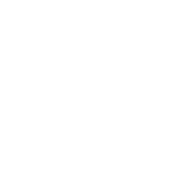 Raizen (Brasil)